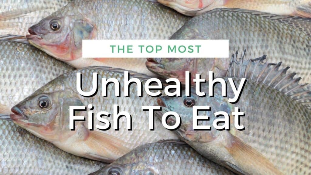The top most unhealthy fish to eat