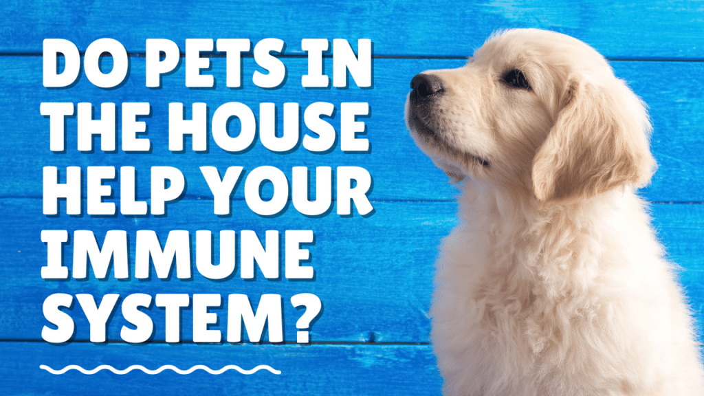 Do pets in the house help your immune system?