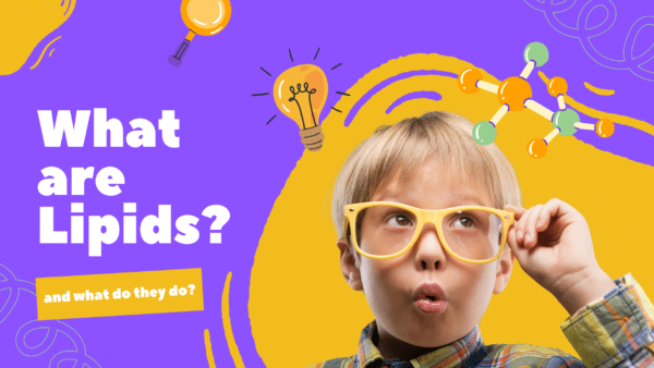 What are lipids? And what do they do?