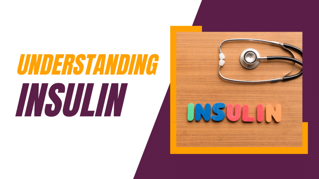 Understanding Insulin